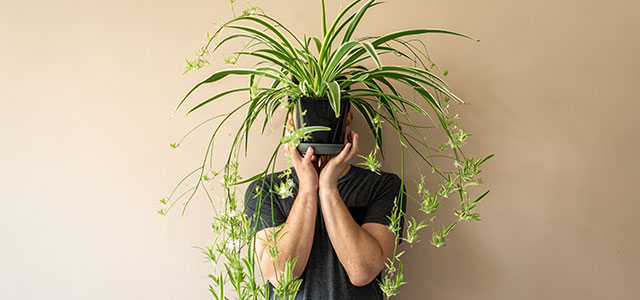 church planting mistakes